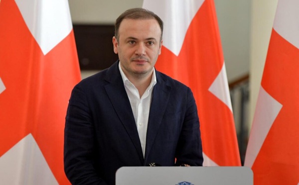 ელჩები, ვინც მავნებლობენ, მგონია, რომ უნდა გავაძევოთ - ირაკლი ზარქუა