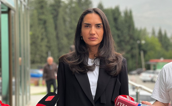 ივანიშვილმა სასამართლო გადააქცია პოლიტიკური ანგარიშსწორების ადგილად, მიხეილ სააკაშვილი არის მისი პირადი ტყვე, ქვეყნის შიგნით და გარეთ ამას ყველა აღიარებს - სოფო ჯაფარიძე