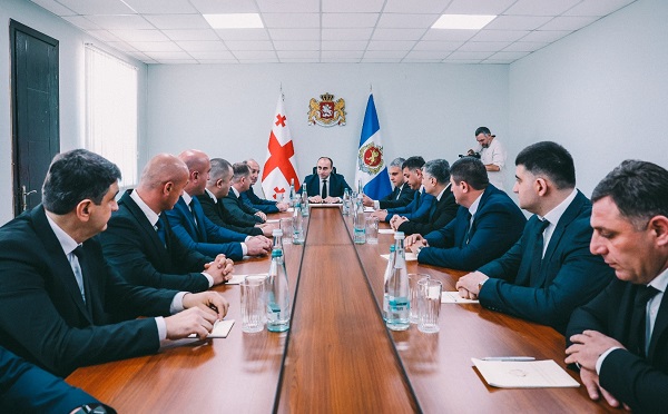 გეკა გელაძემ კახეთის რეგიონში სამუშაო შეხვედრები გამართა