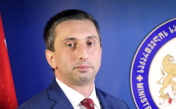 საგარეო საქმეთა სამინისტროს ევროატლანტიკური ინტეგრაციის დეპარტამენტის დირექტორი თორნიკე ფარულავა უწყებიდან გაათავისუფლეს, მისი მეუღლე კი, პარლამენტის ევროპასთან ინტეგრაციის კომიტეტის აპარატიდან