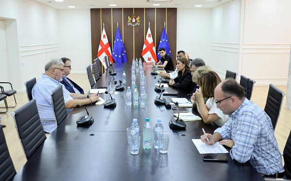 გარემოს დაცვა და კლიმატის ცვლილების საკითხების გათვალისწინება ქვეყნის ეკონომიკის განვითარების პროცესში არის საქართველოს მთავრობის პრიორიტეტი - ნინო თანდილაშვილი