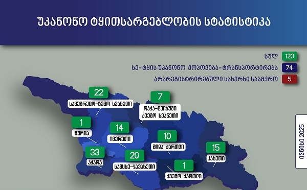 გარემოსდაცვითი ზედამხედველობის დეპარტამენტის თანამშრომლებმა ივნისში უკანონო ტყითსარგებლობის 123 ფაქტი გამოავლინეს