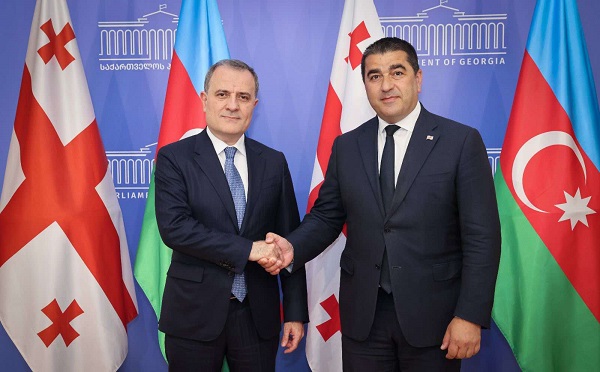შალვა პაპუაშვილი აზერბაიჯანის საგარეო საქმეთა მინისტრს შეხვდა