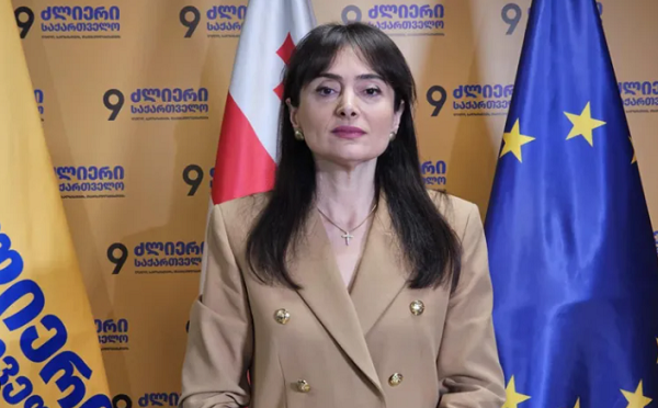 საქართველო უფრო და უფრო ემსგავსება 90-იანი წლების რუსეთს ბანდიტური გარჩევებით - ლანა გალდავა