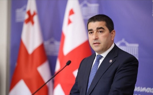 შალვა პაპუაშვილი ოფიციალური ვიზიტით ჟენევაში გაემგზავრა