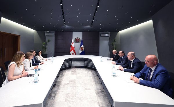 გეკა გელაძემ ლევან იოსელიანთან გაცნობითი შეხვედრა გამართა