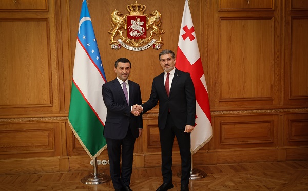 მიხეილ ყაველაშვილი უზბეკეთის საგარეო საქმეთა მინისტრს ბახტიორ საიდოვს შეხვდა