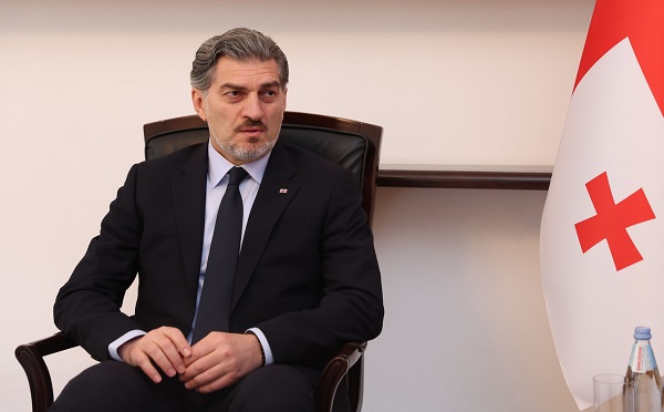 ერთმანეთსაც არ უნდა მივაყენოთ შეურაცხყოფა, რომ ვიზაზე შეიძლება სამშობლო გაცვალო - მიხეილ ყაველაშვილი