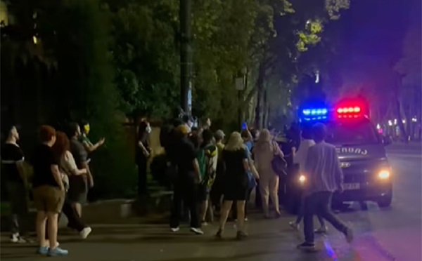 რუსთაველის გამზირზე აქციის ორი მონაწილე დააკავეს