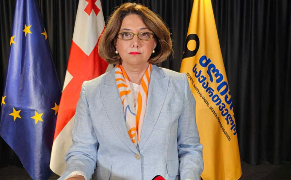 მინდა ვკითხო არალეგიტიმურ ხელისუფლებას, ევროკავშირი დაიწყებს მსჯელობას, როგორ შესრულდა პირობები, რა გაკეთდა, რა გაქვთ სთქმელი? - სალომე სამადაშვილი