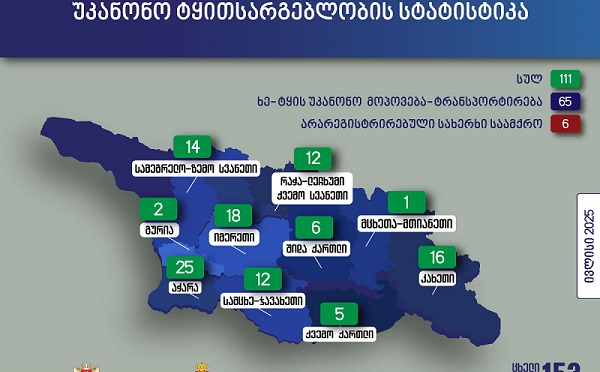 ივლისში უკანონო ტყითსარგებლობის 111 ფაქტი გამოვლინდა