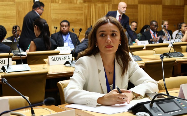 მნიშვნელოვანია, რომ ახალგაზრდებს მივცეთ საშუალება, გაიარონ ანაზღაურებადი სტაჟირება, 300-მდე ახალგაზრდას შევთავაზებთ ანაზღაურებად სტაჟირებას ჩვენს სისტემაში - ნინო თანდილაშვილი