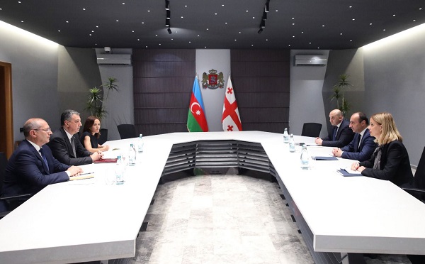 გეკა გელაძემ საქართველოში აზერბაიჯანის ელჩთან, ფაიგ გულიევთან შეხვედრა გამართა