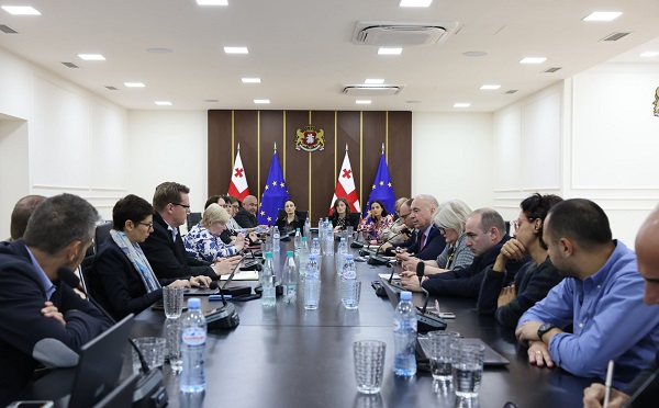 გარემოს დაცვისა და სოფლის მეურნეობის სამინისტროში გამართულ სამუშაო შეხვედრაზე საქართველოში ლამის მდგრადი მართვის სტრატეგიის მომზადების საკითხები განიხილეს