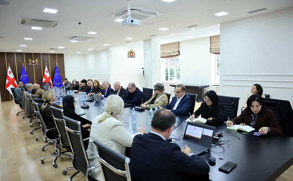 სურსათთან შემხებლობაში მყოფი ერთჯერადი გამოყენების პლასტიკის მოხმარების რეგულირების საკითხებზე ბიზნესსექტორის წარმომადგენლებთან სამუშაო შეხვედრა გაიმართა