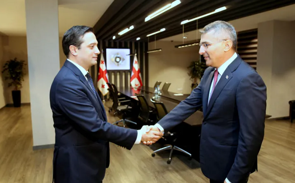 მამუკა მდინარაძე სახალხო დამცველს შეხვდა