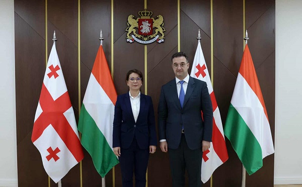 დავით სონღულაშვილი უნგრეთის ელჩს შეხვდა