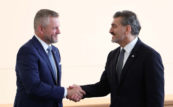 მიხეილ ყაველაშვილი, სლოვაკეთის პრეზიდენტს პეტერ პელეგრინს შეხვდა