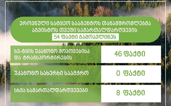 ეროვნული სატყეო სააგენტოს თანამშრომლებმა აგვისტოს თვეში სამართალდარღვევის 54 ფაქტი გამოავლინეს