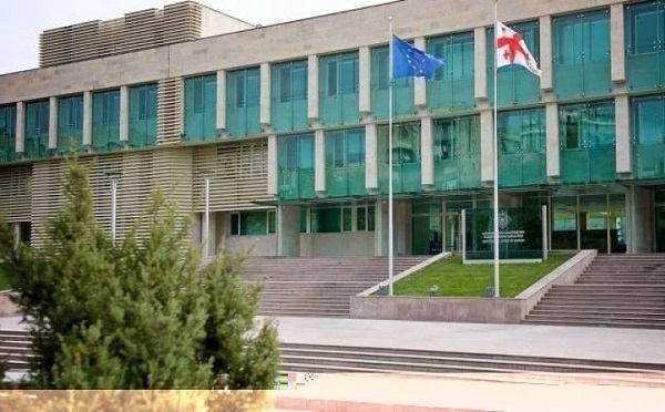 არ დავაკავებთ, პერფორმანსები არ ისჯება, ისჯება დანაშაული - სუს-ი ანა წითლიძეზე