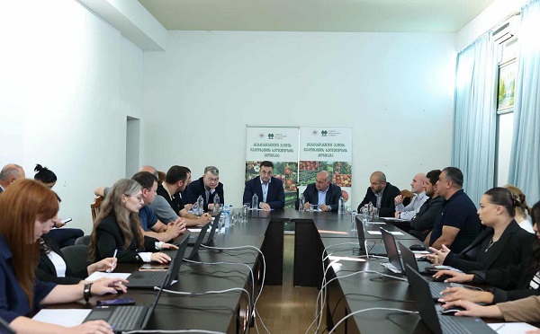 დავით სონღულაშვილმა შიდა ქართლში ვაშლის მოსავლის აღება-დაბინავების შესახებ ინფორმაცია საკოორდინაციო შტაბში მოისმინა