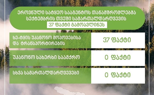 მიმდინარე წლის სექტემბრის თვეში, სამართალდარღვევის 37 ფაქტი გამოვლინდა