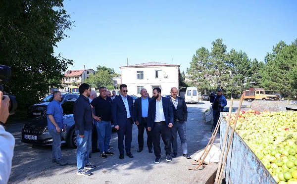 დავით სონღულაშვილი არასტანდარტული ვაშლის ჩაბარების პროცესს კომპანიაში „ჯეო კონცენტრატი“ გაეცნო