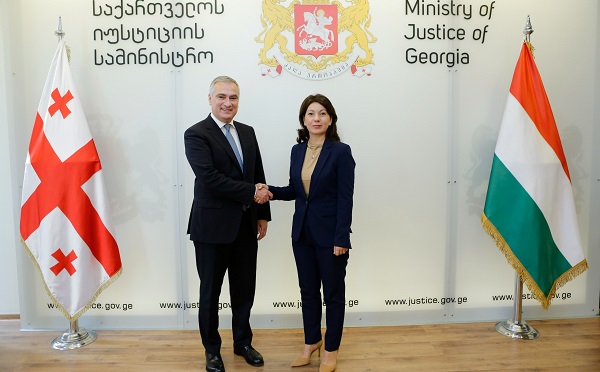 პაატა სალია საქართველოში უნგრეთის ელჩ პეტრა პონევაჩ-პანას შეხვდა