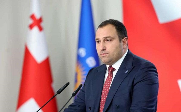 პარლამენტის საგამოძიებო კომისიის დასკვნის საფუძველზე მომზადებული სარჩელი საკონსტიტუციო სასამართლოში უახლოეს მომავალში შევა