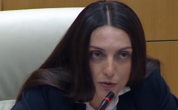 ვისი სასამართლოთი აპირებთ „ნაცების“ აკრძალვას, გირგვლიანის საქმის მოსამართლე მურუსიძის? ვის გადაუგზავნეთ აკრძალვის სარჩელი, „ნაცების“ მოსამართლე ჩინჩალაძეს? - ვიკა ფილფანი