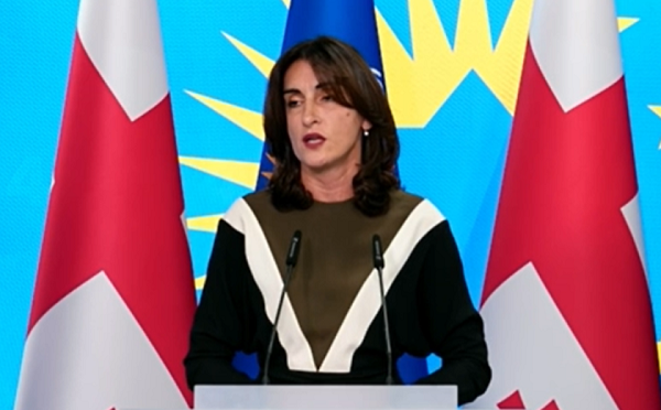 დემოკრატიული პროცესის დისკრედიტაციის მცდელობა აქვთ, თითქოს, რაღაც არასწორად მიმდინარეობს - მაკა ბოჭორიშვილი