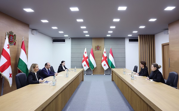 გეკა გელაძემ საქართველოში უნგრეთის საგანგებო და სრულუფლებიან ელჩთან შეხვედრა გამართა