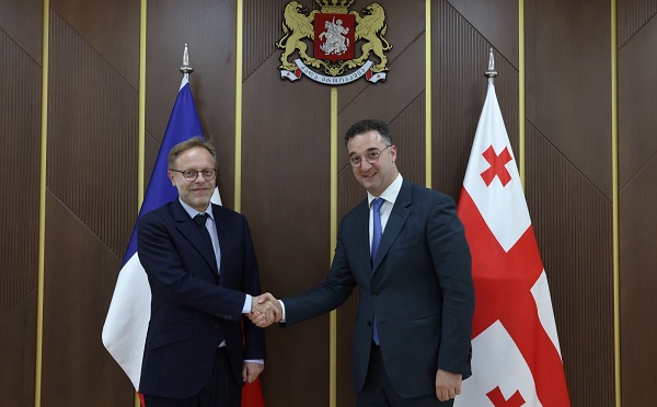 დავით სონღულაშვილი საფრანგეთის ელჩს შეხვდა