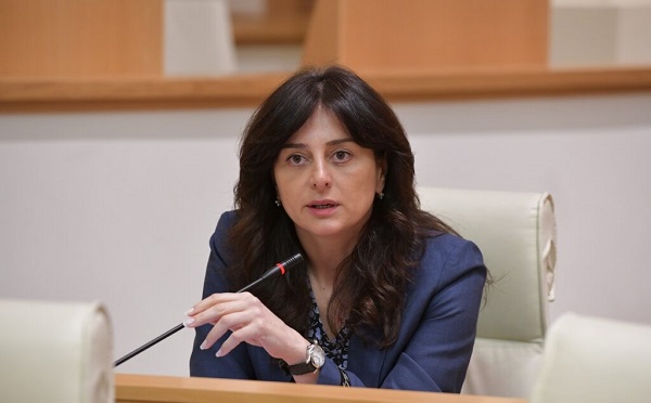 ირაკლი ღარიბაშვილი გამოძიებასთან უკვე რომ თანამშრომლობს, წინ გადადგმული ნაბიჯია - მაია ბითაძე