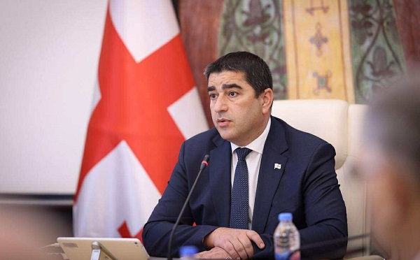 რა ფასი აქვს ოძისში სუვერენიტეტის მხარდაჭერის განცხადებას, როცა სუვერენიტეტს თავად არღვევ რუსთაველის გამზირზე - შალვა პაპუაშვილი ელინა ვალტონენის საოკუპაციო ხაზთან ჩასვლაზე