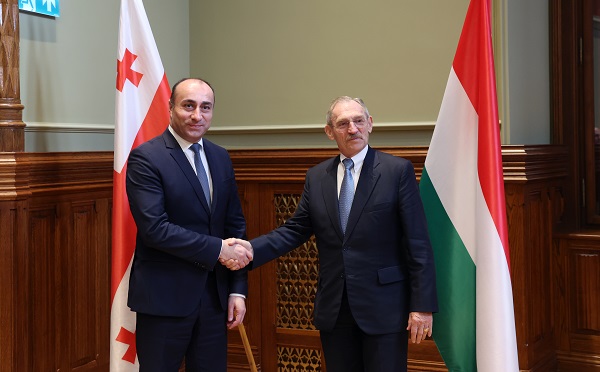 გეკა გელაძე უნგრეთის შინაგან საქმეთა მინისტრს შეხვდა