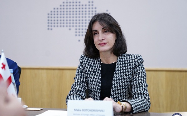 როდესაც გაფართოების შეხვედრაზე თავად ევროკავშირი არ იწვევს საქართველოს, უკვე კითხვის ნიშნები აღარ არსებობს, ვის აქვს პროცესი შეჩერებული - მაკა ბოჭორიშვილი