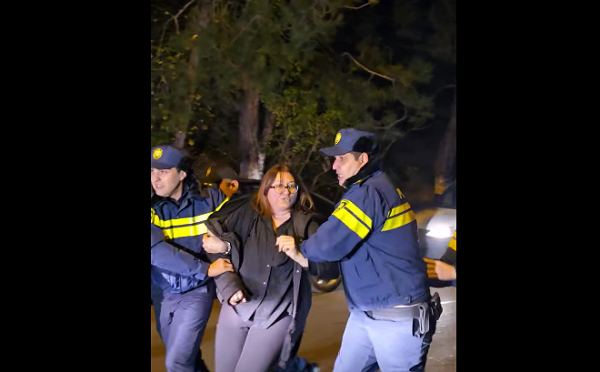 პოლიციამ მსვლელობის კიდევ რამდენიმე მონაწილე დააკავა