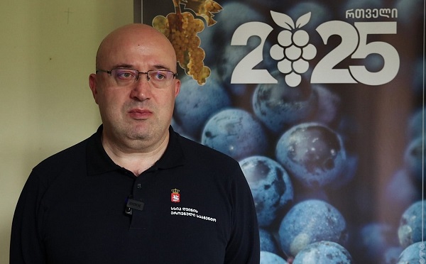 ყურძენი, რომლითაც ღვინო მზადდება, უნდა იყოს უკომპრომისოდ მაღალი ხარისხის - ლევან მეხუზლა