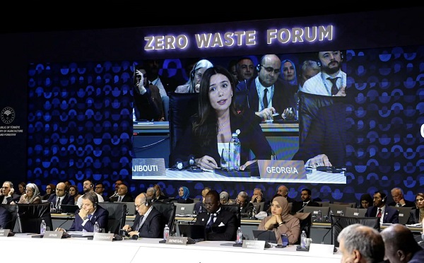 საქართველო მნიშვნელოვან ნაბიჯებს დგამს საკვების ნარჩენებისა და წყლის რესურსების მდგრადი მართვის მიმართულებით - ნინო თანდილაშვლი