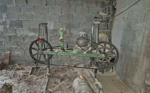 აჭარაში უკანონო სახერხი საამქრო გამოავლინეს