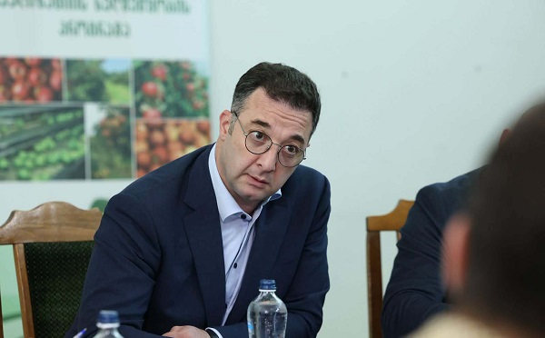 საქართველოს სოფლის მეურნეობის პროდუქცია პირდაპირ უნდა ასოცირდებოდეს მაღალ ხარისხთან - დავით სონღულაშვილი