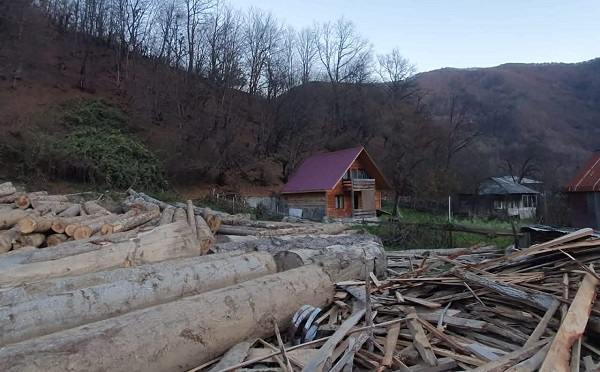 რაჭაში უკანონო ტყითსარგებლობის ფაქტი გამოვლინდა