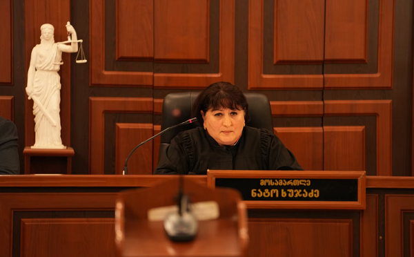 ღარიბაშვილს თავისი გაჭირვება აქვს - მოსამართლე გელა ხასაიას