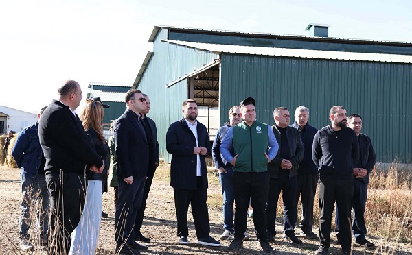 დმანისში ფრანგულ-ქართული ინვესტიციით შექმნილი ფერმა ერთ-ერთია, რომელიც ქართული აგროსასურსათო პროდუქციის წარმოების ზრდას მნიშვნელოვნად უწყობს ხელს - დავით სონღულაშვილი