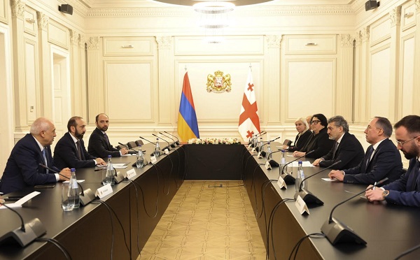 მიხეილ ყაველაშვილი არარატ მირზოიანს შეხვდა