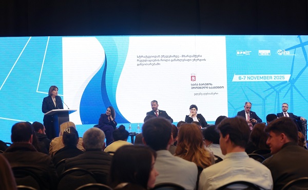 გარემოს ეროვნული სააგენტოს უფროსმა, ელენე ღუბიანურმა ენერგეტიკის საერთაშორისო ფორუმში მიიღო მონაწილეობა