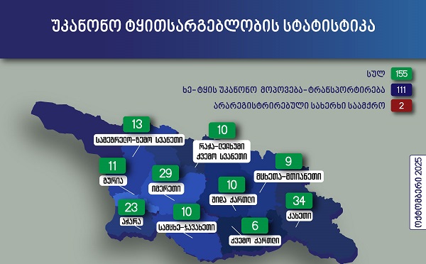 გარემოსდაცვითი ზედამხედველობის დეპარტამენტმა ოქტომბერში უკანონო ტყითსარგებლობის 155 ფაქტი გამოავლინა