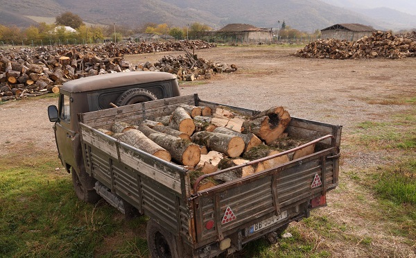 ბოლნისი-დმანისის სატყეო უბანზე ხე-ტყის უკანონო მოპოვებისა და ტრანსპორტირების ფაქტი გამოავლინეს