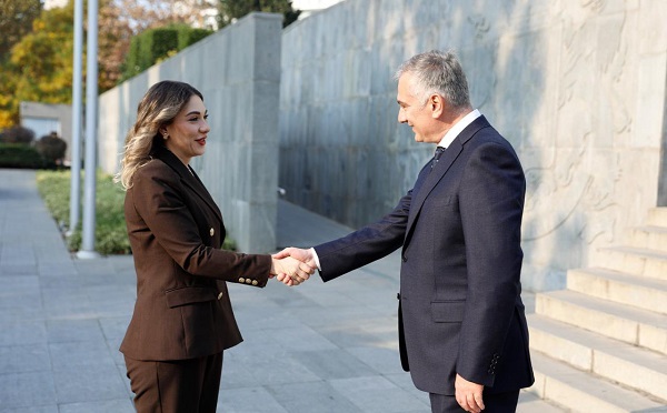 პაატა სალია ქართულ-სომხური სამართლებრივი ფორუმის ფარგლებში სომხეთის იუსტიციის მინისტრს შეხვდა